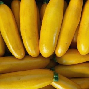 Courgette au kilo