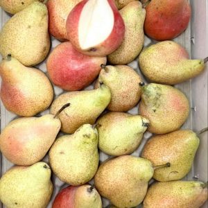 Poire Harrow au kilo