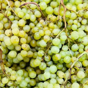 Raisin blanc de Chasselas au kilo