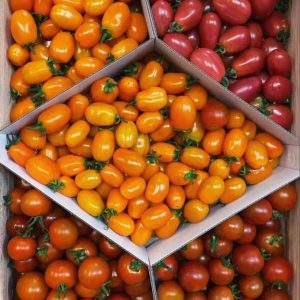 Tomate cerise au kilo